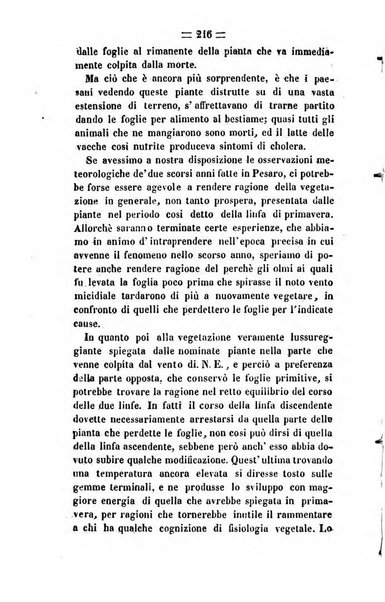 Società di Agricoltura Jesina. Annali ed Atti