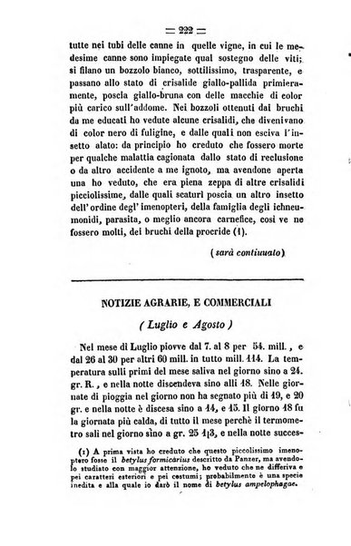 Società di Agricoltura Jesina. Annali ed Atti