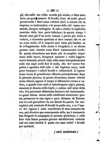 Società di Agricoltura Jesina. Annali ed Atti