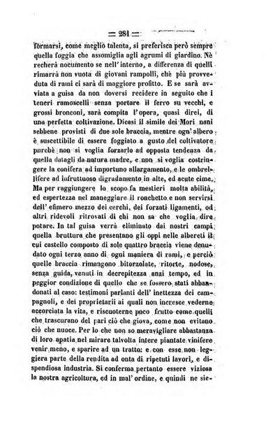 Società di Agricoltura Jesina. Annali ed Atti