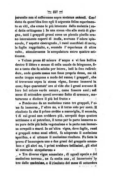 Società di Agricoltura Jesina. Annali ed Atti