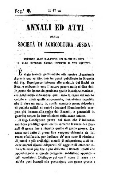 Società di Agricoltura Jesina. Annali ed Atti