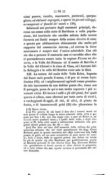 Società di Agricoltura Jesina. Annali ed Atti