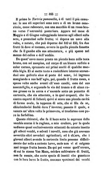 Società di Agricoltura Jesina. Annali ed Atti