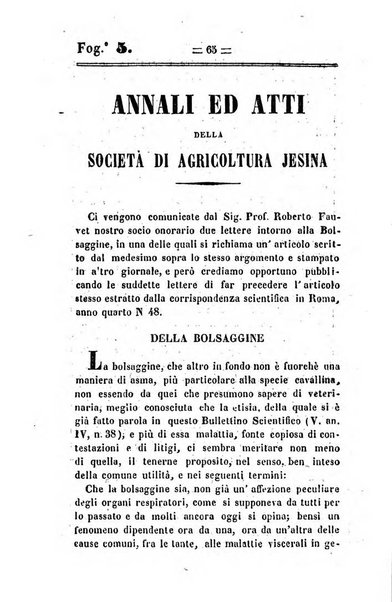 Società di Agricoltura Jesina. Annali ed Atti