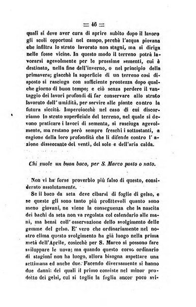 Società di Agricoltura Jesina. Annali ed Atti