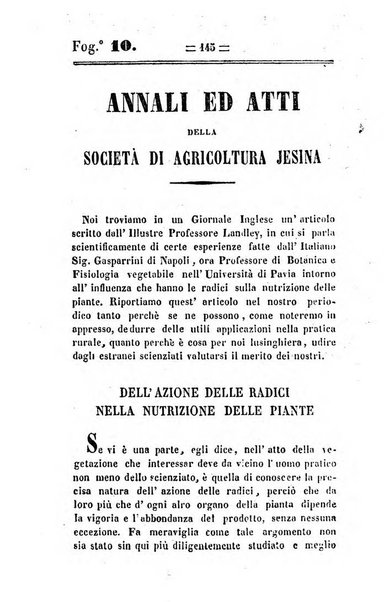 Società di Agricoltura Jesina. Annali ed Atti