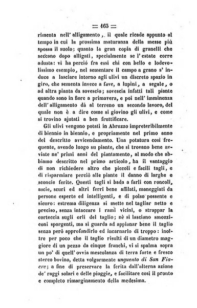 Società di Agricoltura Jesina. Annali ed Atti