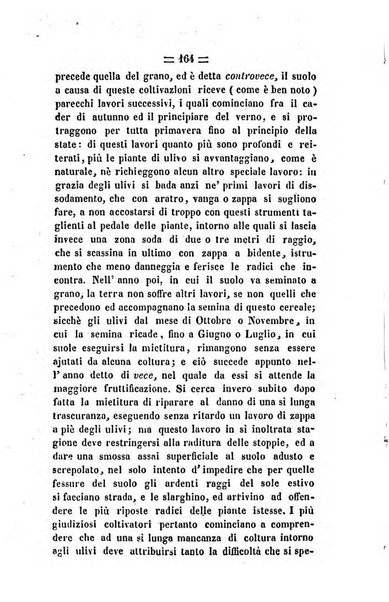 Società di Agricoltura Jesina. Annali ed Atti