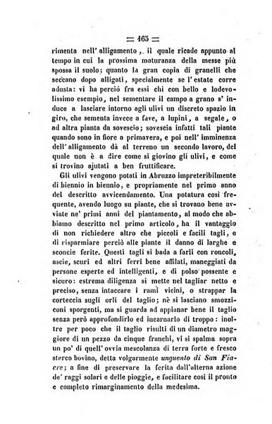 Società di Agricoltura Jesina. Annali ed Atti