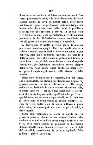 Società di Agricoltura Jesina. Annali ed Atti