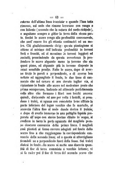 Società di Agricoltura Jesina. Annali ed Atti