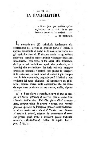 Società di Agricoltura Jesina. Annali ed Atti