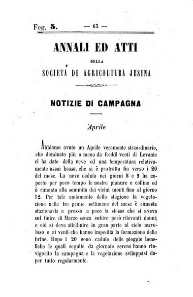 Società di Agricoltura Jesina. Annali ed Atti