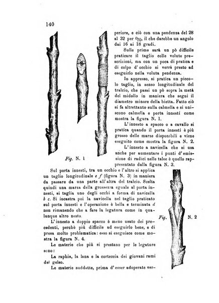 Bollettino dell'Unione dei comizi vicentini