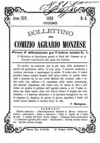 giornale/BVE0265170/1888/unico/00000113