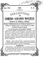 giornale/BVE0265170/1890/unico/00000029