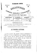 giornale/BVE0265173/1872/unico/00000005