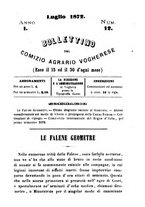 giornale/BVE0265173/1872/unico/00000195