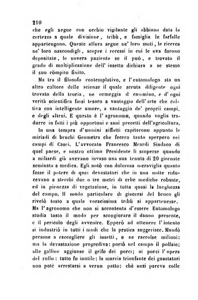 Bollettino del Comizio agrario vogherese