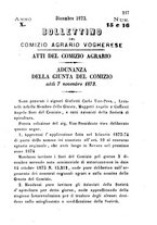 giornale/BVE0265173/1873/unico/00000181
