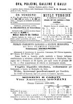 giornale/BVE0265212/1889/unico/00000006