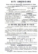 giornale/BVE0265212/1889/unico/00000028