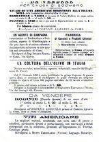 giornale/BVE0265212/1889/unico/00000052