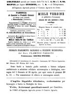 giornale/BVE0265212/1889/unico/00000114