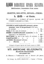 giornale/BVE0265212/1895/unico/00000028