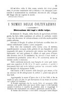 giornale/BVE0265212/1895/unico/00000039