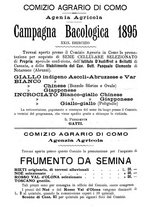 giornale/BVE0265212/1895/unico/00000172