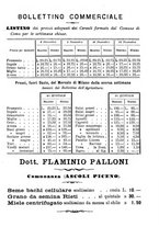 giornale/BVE0265212/1895/unico/00000263