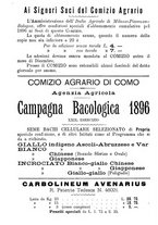 giornale/BVE0265212/1895/unico/00000266