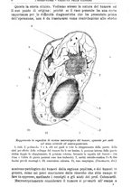 giornale/BVE0265216/1883/unico/00000010