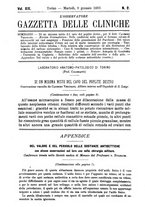 giornale/BVE0265216/1883/unico/00000019