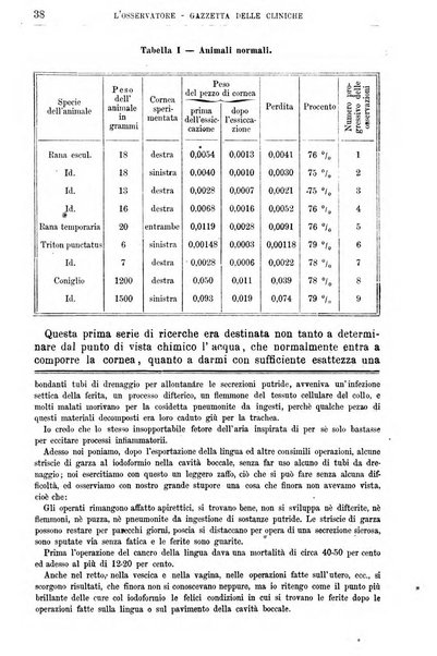 Gazzetta delle cliniche di Torino