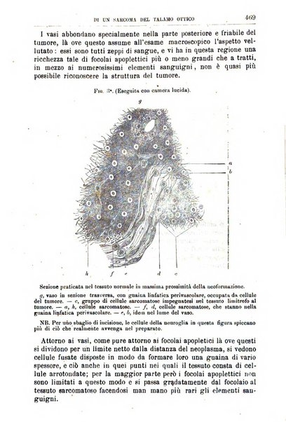 Gazzetta delle cliniche di Torino