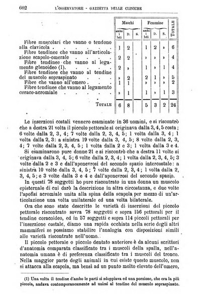 Gazzetta delle cliniche di Torino