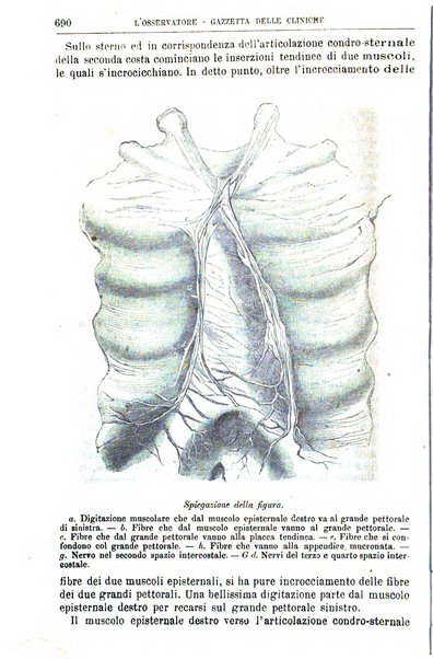 Gazzetta delle cliniche di Torino