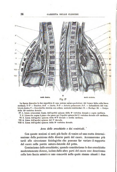 Gazzetta delle cliniche di Torino