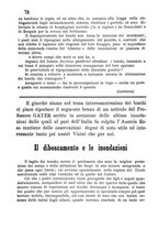 giornale/BVE0265227/1882-1883/unico/00000076