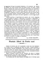 giornale/BVE0265227/1882-1883/unico/00000141