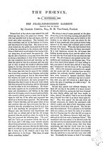 giornale/BVE0265628/1870-1871/unico/00000033