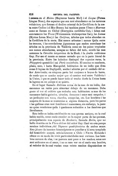 Revista del Pacifico