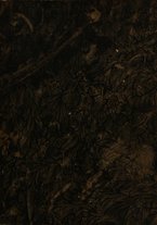 giornale/BVE0266100/1830/N.81-160