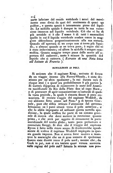 L'ape sebezia giornale d'incoraggiamento