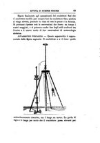 giornale/BVE0266417/1878/unico/00000101