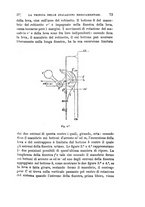 giornale/BVE0266428/1883-1885/unico/00000095