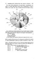 giornale/BVE0266428/1883-1885/unico/00000555